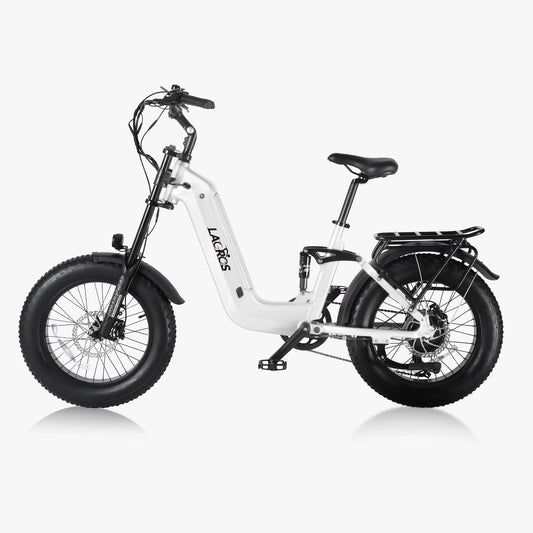 Lacros Cyclone adult E-bike，750W city ebike，48V20AH Electric Bike，20 Fat Tire E-Mountain bike