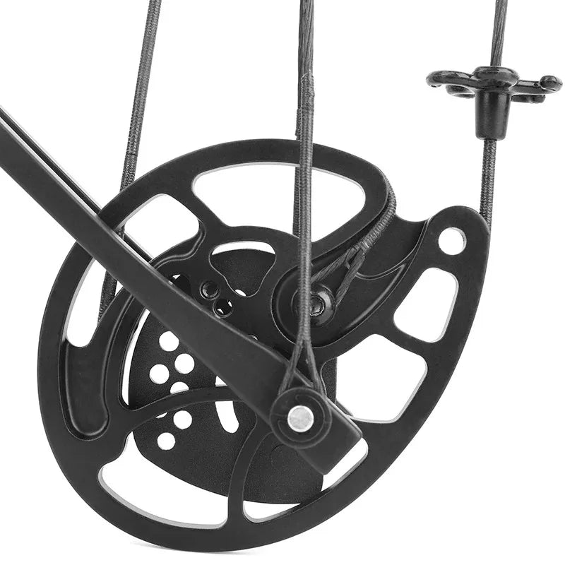 Compound Bow Complete Set 20-70lbs 320FPS 80% Let-off RH Full Archery Accessories for Outdoor Hunting Target Shooting