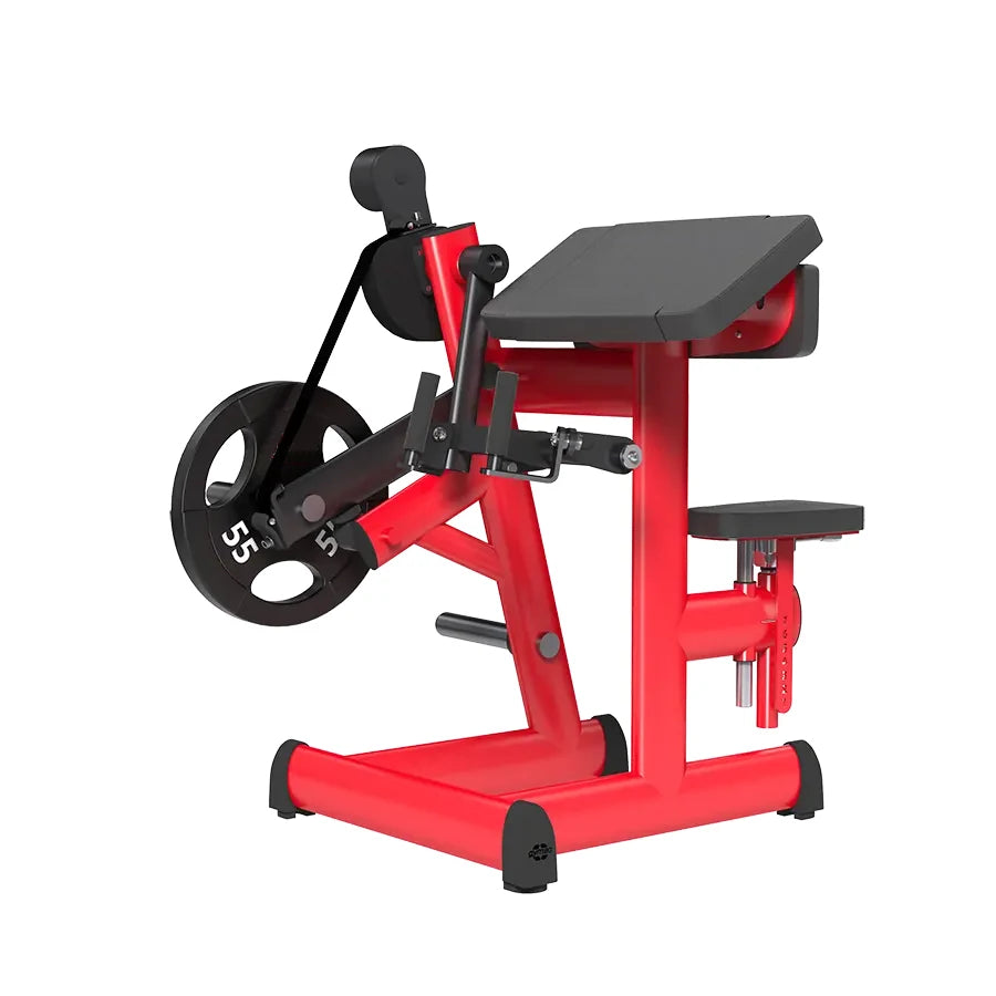 Kingace Commercial Fitness Gym Steel Equipment High Strength Plate Loaded Arm Curl Machine for Back Shoulder Leg High Biceps