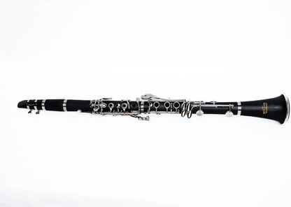 Bb Clarinet Set for Students & Beginners, Complete with Accessories, Easy to Play and Maintain