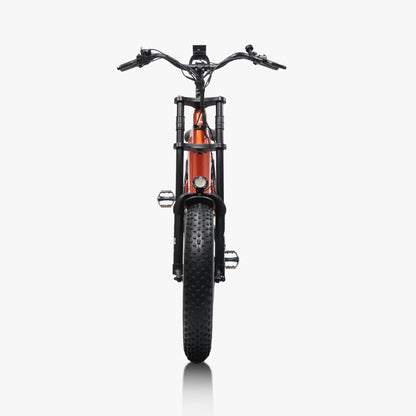 Lacros Cyclone adult E-bike，750W city ebike，48V20AH Electric Bike，20 Fat Tire E-Mountain bike