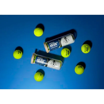 Dunlop Sports ATP Premium Tennis Balls - Case of 24 cans 72 Balls - Regular Duty and Extra Duty