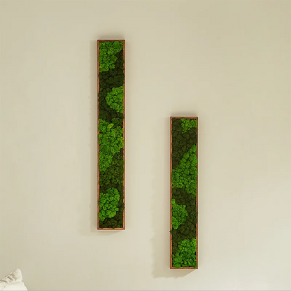 Wall Art,Moss Wall Decor,Rectangle Framed ,Home Decor,Decorations for Living Room,Room Decor Aesthetic,Natural Life Gifts